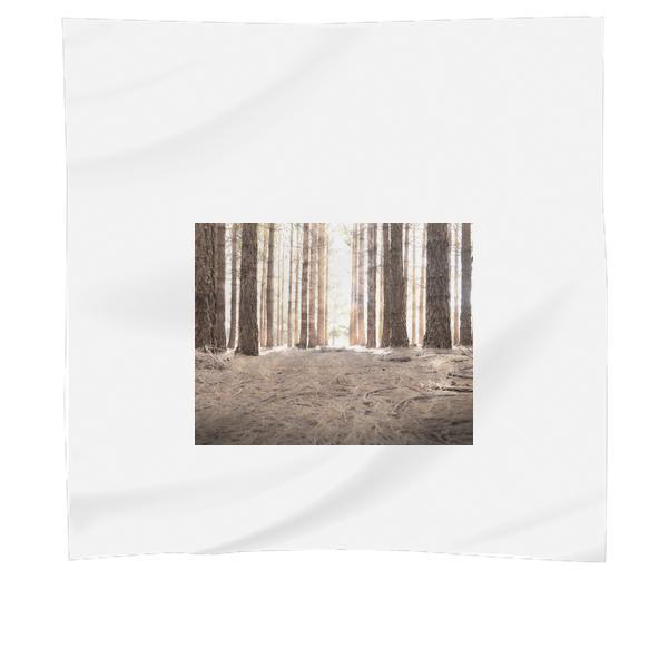 Trees During Daytime Scarf