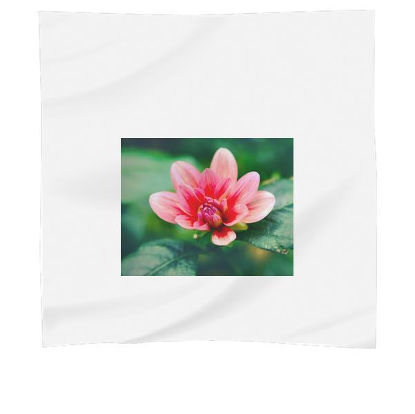 Pink And Red Flower During Daytime Scarf