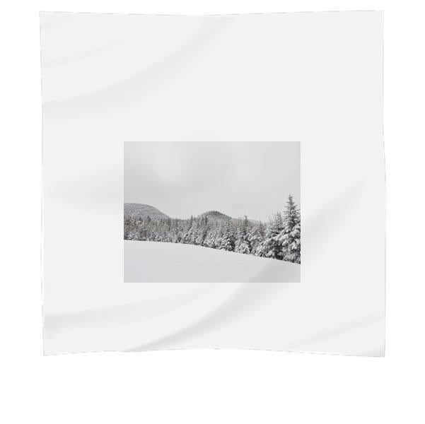 Green Trees On Snow Ground At Daytime Scarf