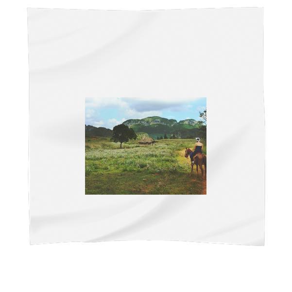 Man Riding Brown Horse Near Green Field During Daytime Scarf