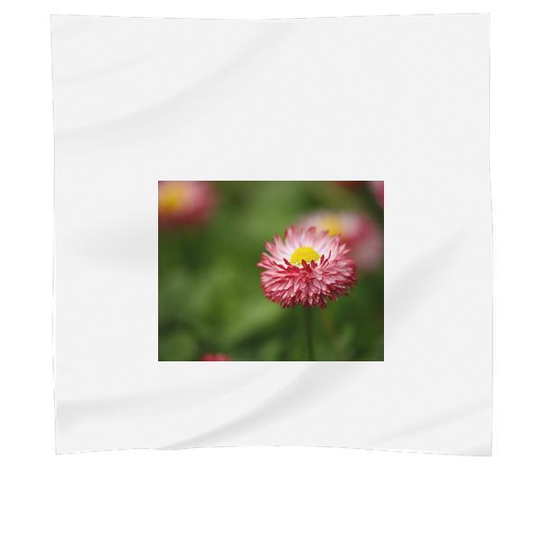 Shallow Focus Photography Of Pink Flowers Scarf