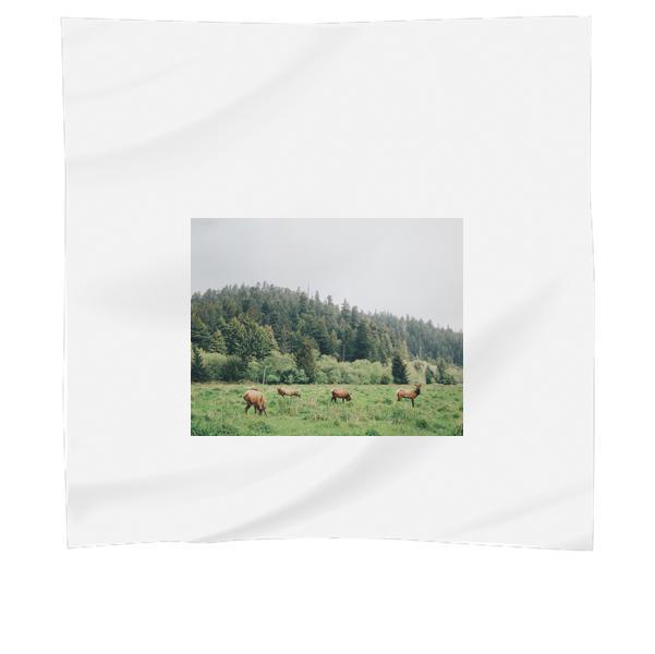 Pack Of Deer Eating On Plane Grass Field During Daytime Scarf