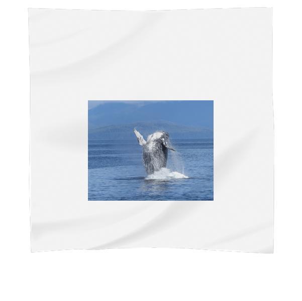 Black And White Dolphin On Body Of Water During Daytime Scarf