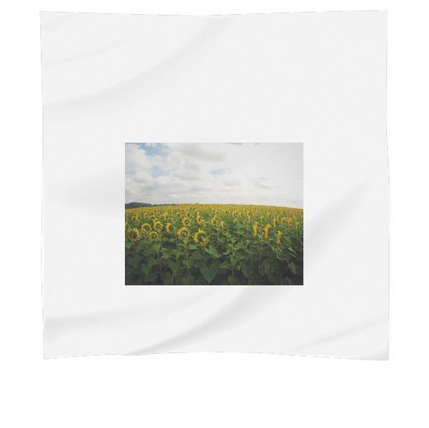 Nature Field Flowers Sunflowers Scarf