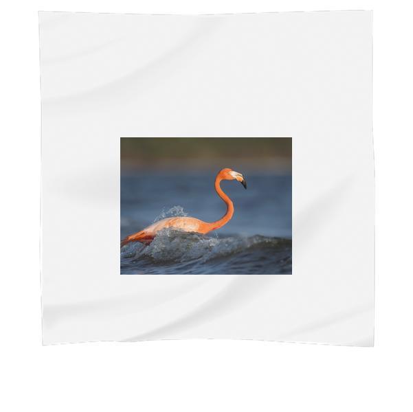 Flamingo Bird On Sea Under Blue Sky During Daytime Scarf