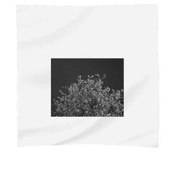 Grayscale Photo Of Trees Scarf