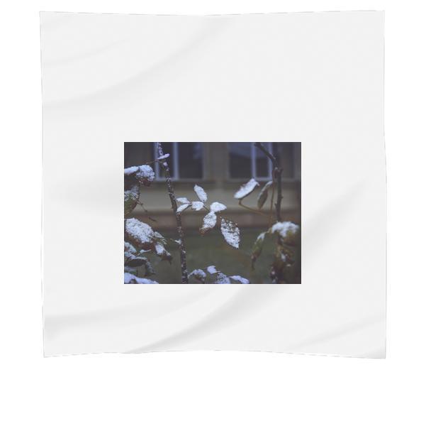 CloseUp Of Snow On Plants During Winter Scarf