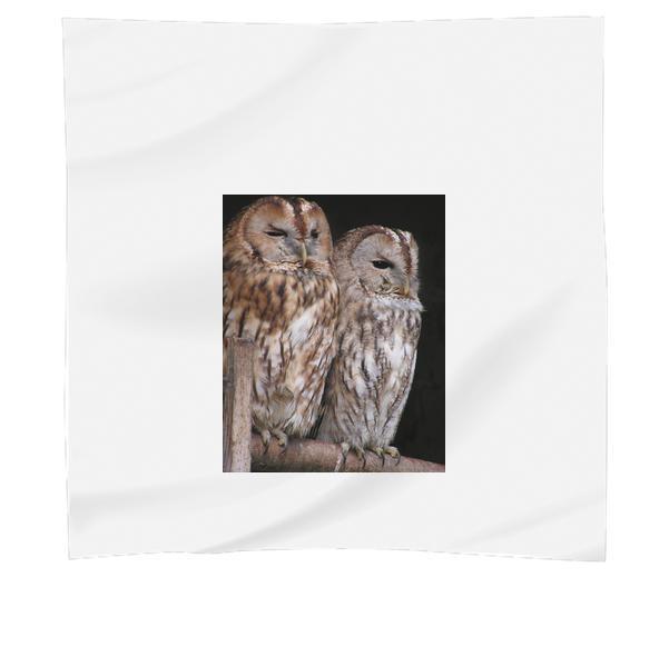 Brown White Feather Owl Scarf