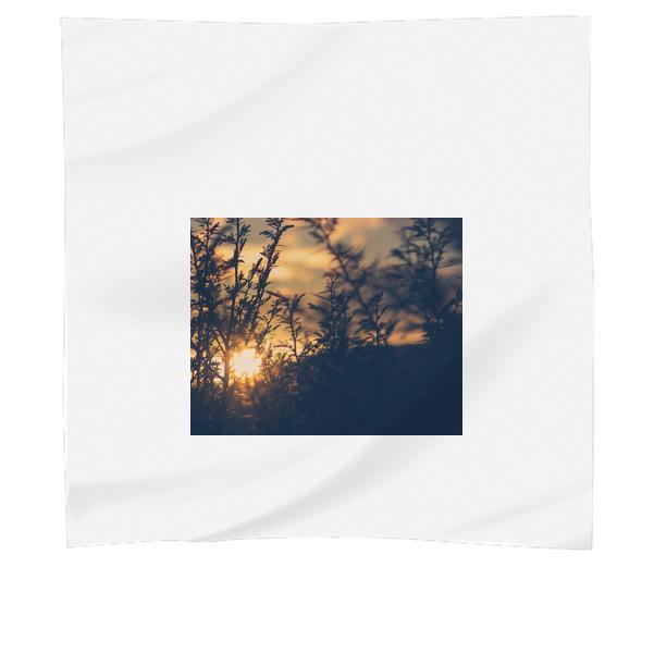 Silhouette Of Plant During Sunset Scarf
