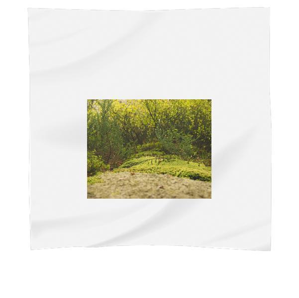 Landscape Nature Forest Trees Scarf