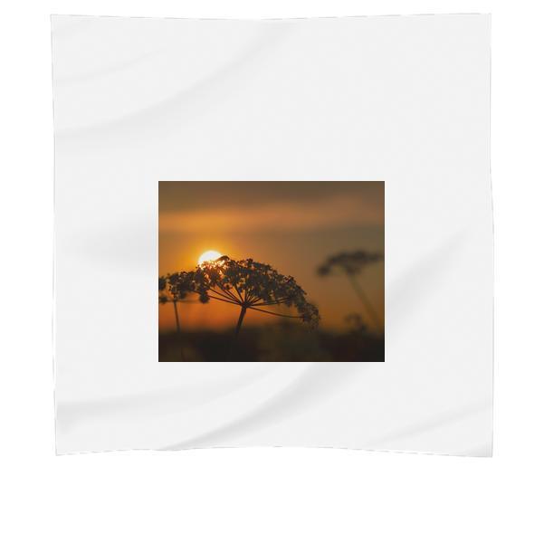 Silhouette Of Flower During Sunset Scarf