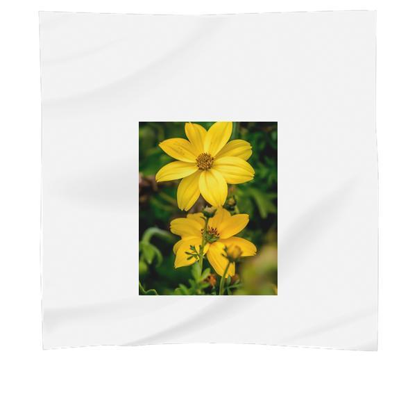 Nature Flowers Plant Closeup Scarf