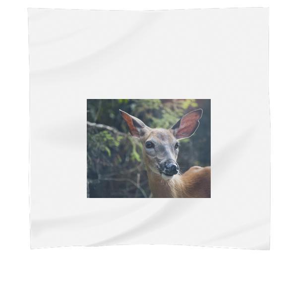 Deer During Daytime Scarf