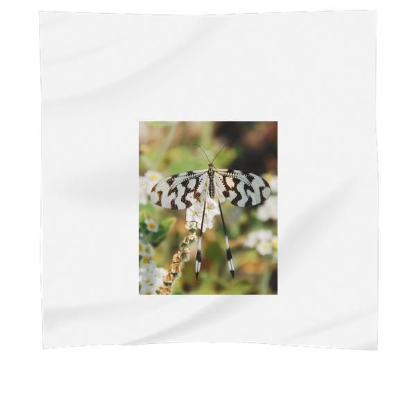 Nature Flowers Plant Insect Scarf
