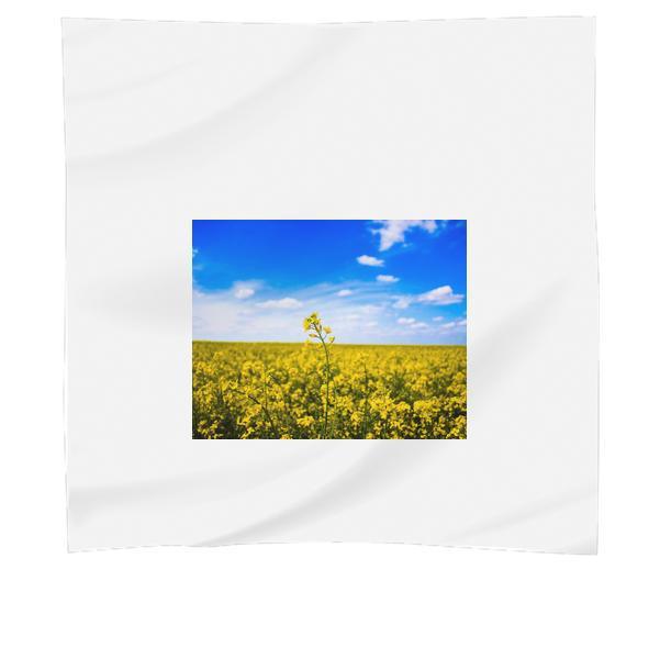 Yellow Flower Under Cloudy Skies During Daytime Scarf