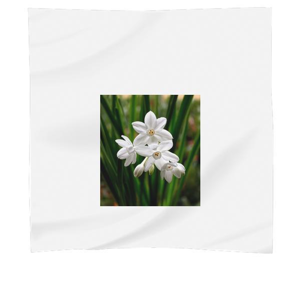 Nature Flowers Plant CloseUp View Scarf