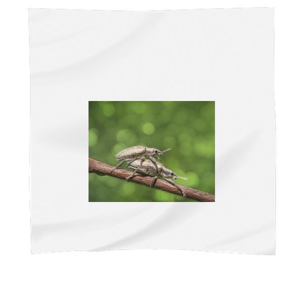 Nature Insects Macro Closeup Scarf