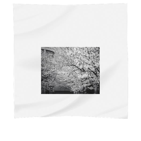 Grayscale Photo Of Trees During Daytime Scarf