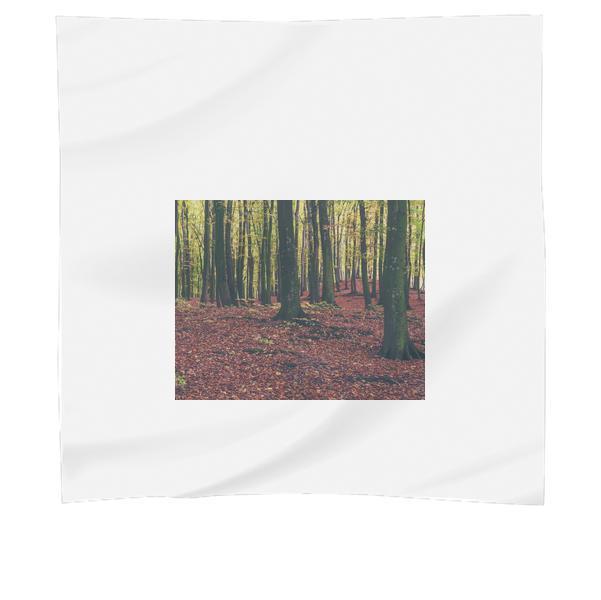 Green Trees On Brown Ground During Daytime Scarf