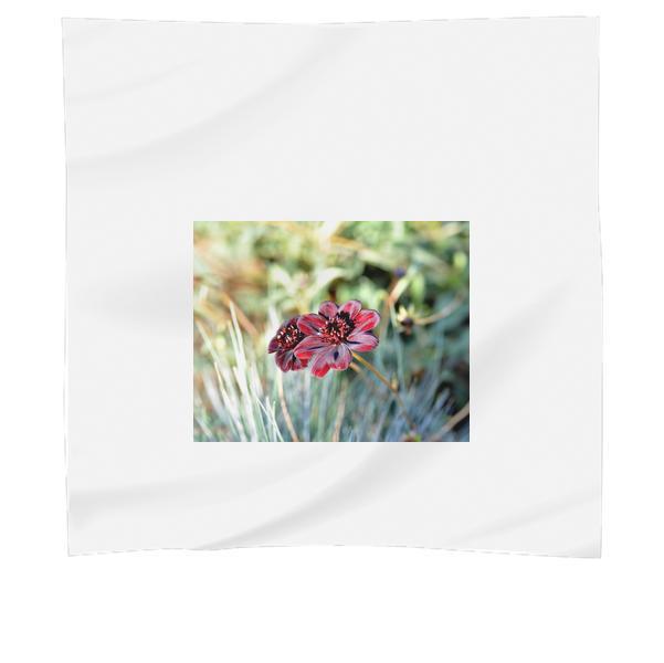 Close Up Photo Of Red And White Petaled Flower Scarf
