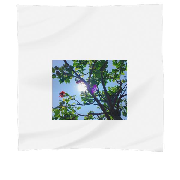 Green Trees Under Blue Sky During Daytime Scarf