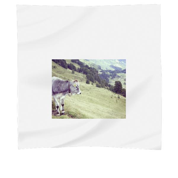 Grey Cow On Green Grass Field Near Trees During Daytime Scarf