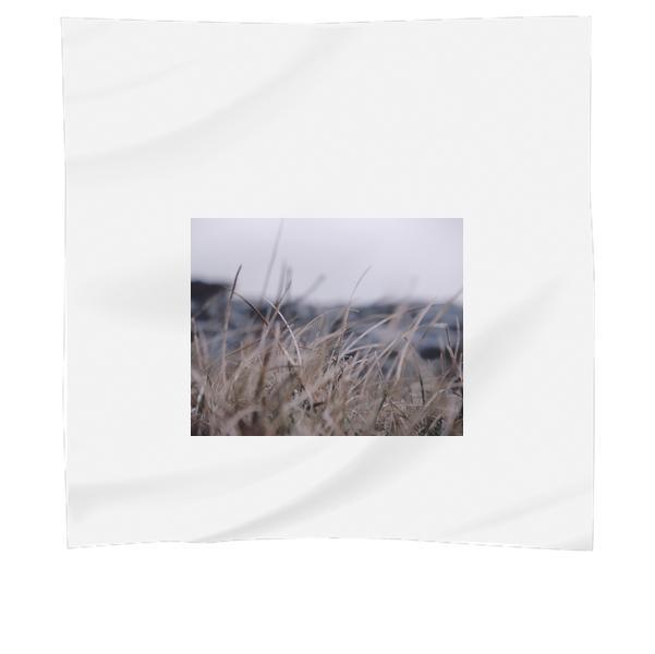 Green Grass Lawn Photo Scarf