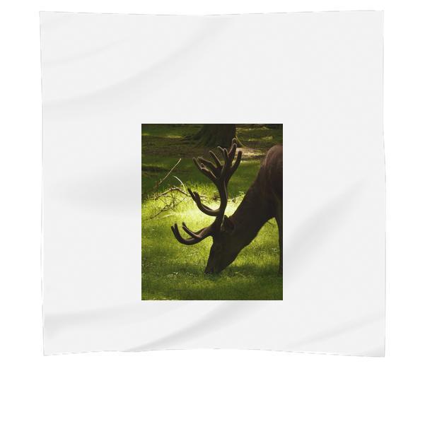 Deer Eating Grass During Daytime Scarf