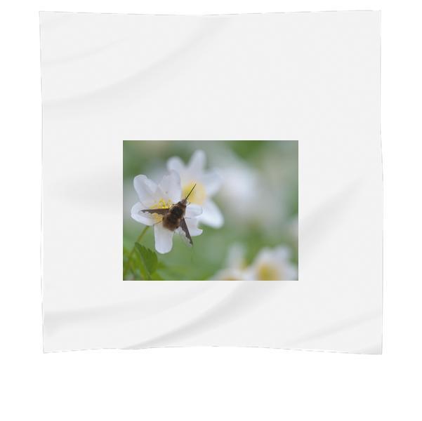 Brown Moth On White Petal Flower During Daytime Scarf