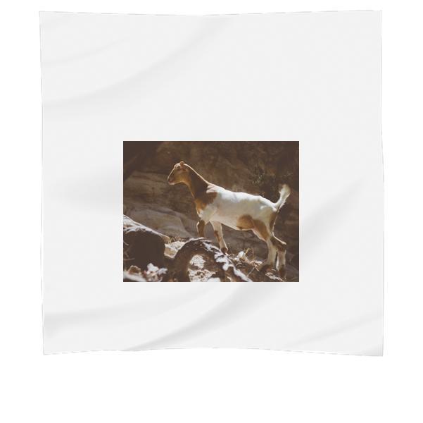Brown And White Goat Standing On The Rock During Daytime Scarf