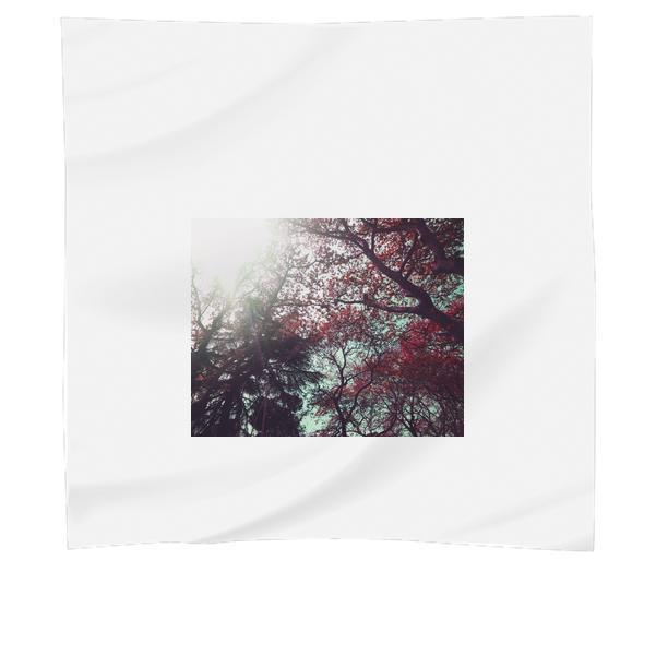 Low Angle Of Red Leaf Trees During Daytime Scarf
