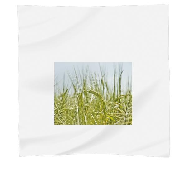 Green Grains During Daytime Scarf