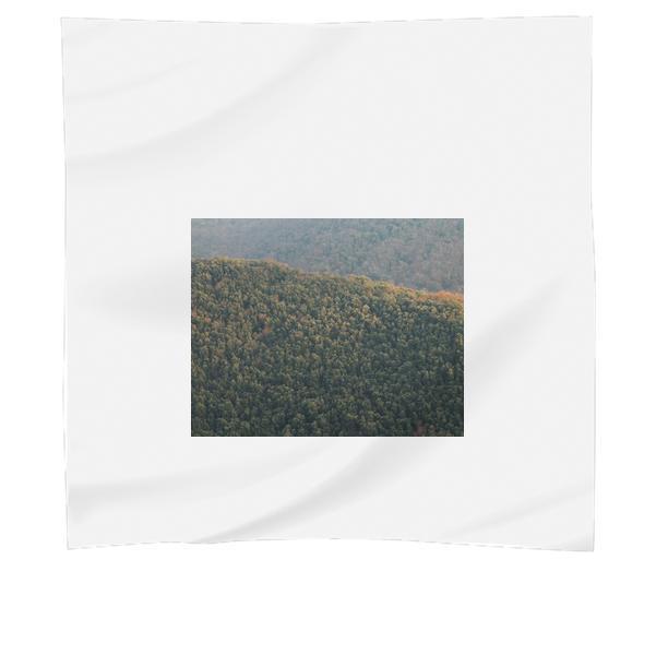 Nature Forest Trees Timber Scarf