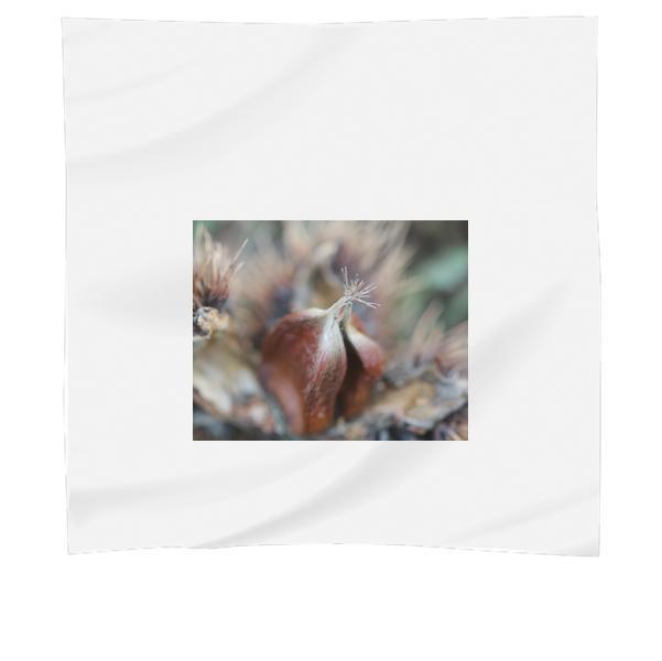 Close Up Photo Of A Brown Petaled Flower Scarf