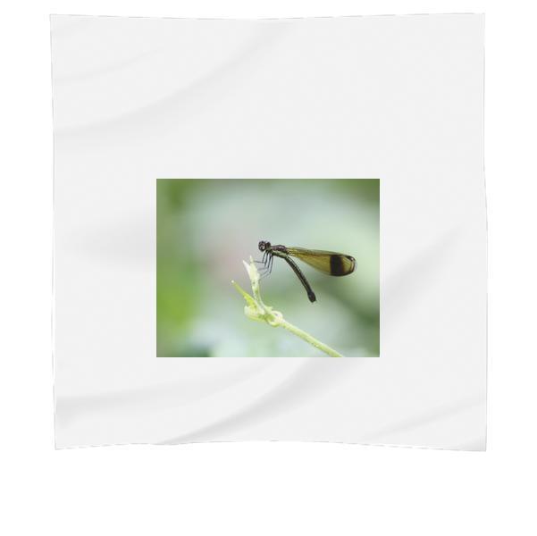 Green Dragonfly On Green Leaf During Daytime Scarf