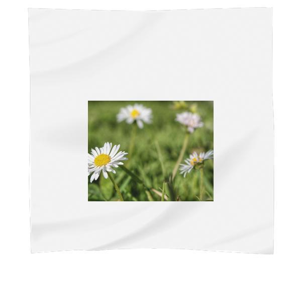 Nature Flowers Grass Petals Scarf