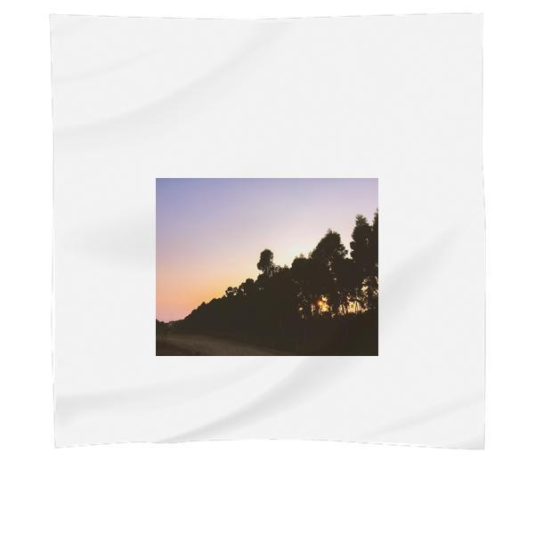 Silhouettes Of Tall Trees Near Dirt Road During Sunset Scarf