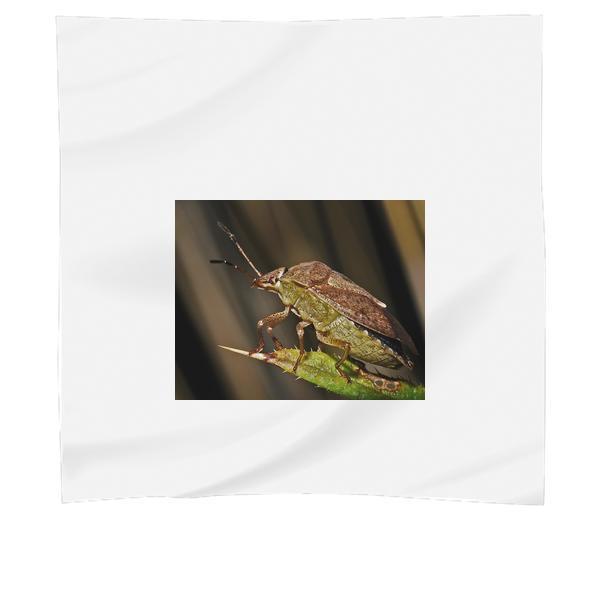 Green Leaf Insect Scarf