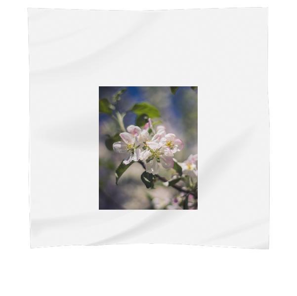 Close Up Photo Of White Petaled Flower Scarf