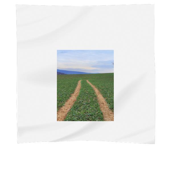 Brown Pathway In Green Field Scarf