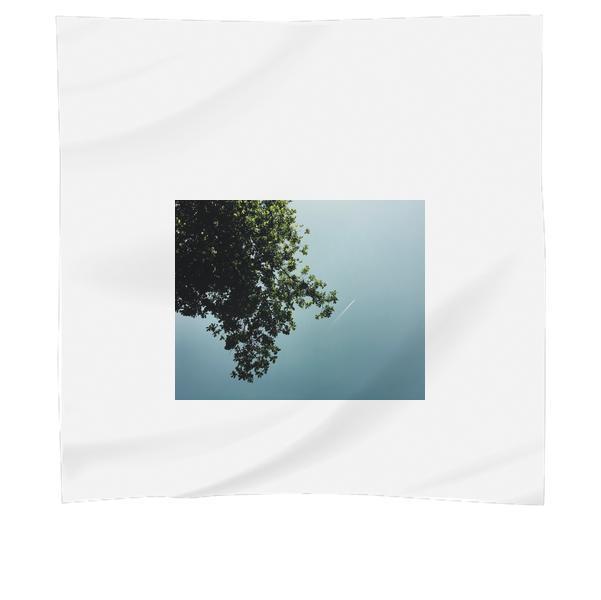 Green Leaf Tree On Low Angle Photography During Daytime Scarf