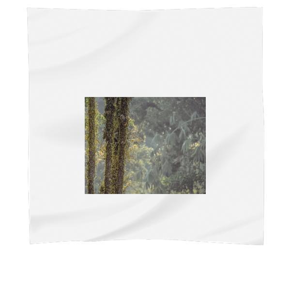 Green Plant On Black Wood During Daytime Scarf