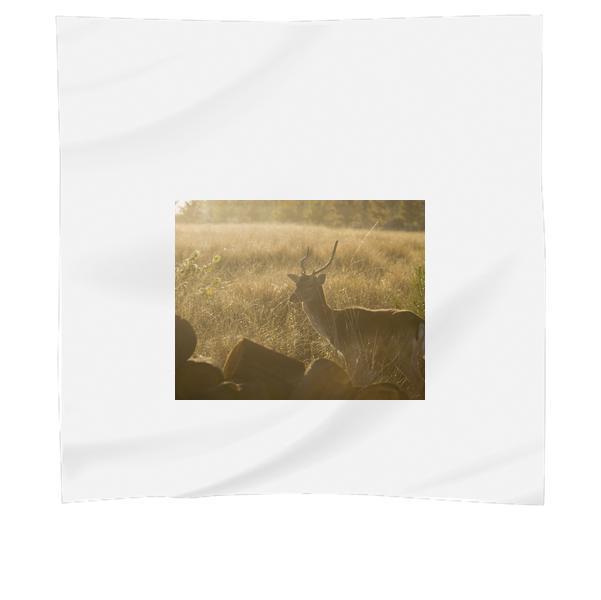Brown Deer Surrounded By Grass During Sunset Scarf