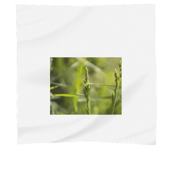 Close Up Photography Green Grass During Daytime Scarf