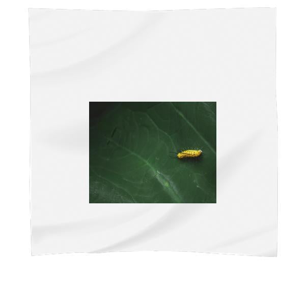 Nature Leaf Green Insect Scarf