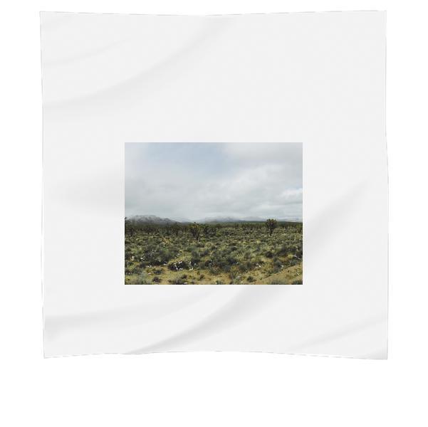 Green Grass During Daytime Scarf