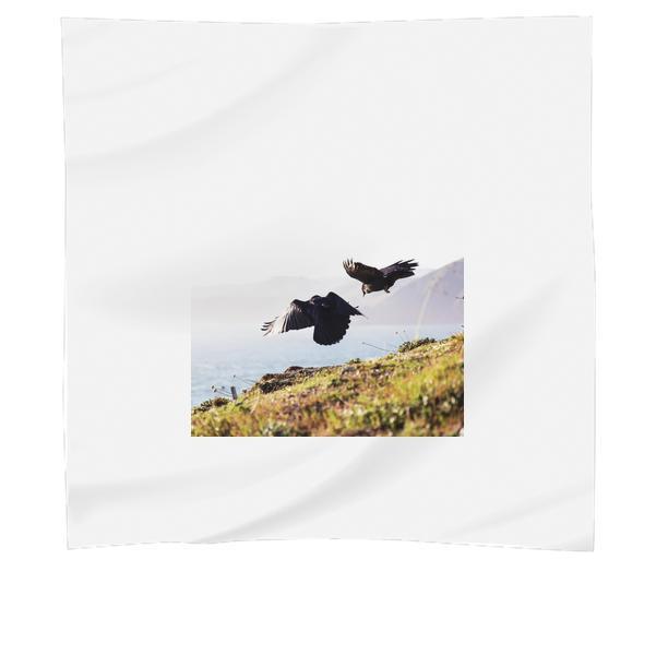 2 Eagle Near Green Grass And Cliff During Daytime Scarf