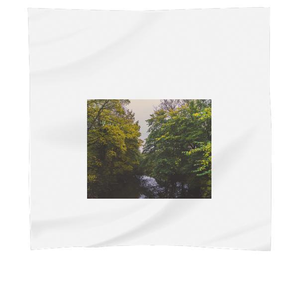 Green Trees During Daytime Scarf
