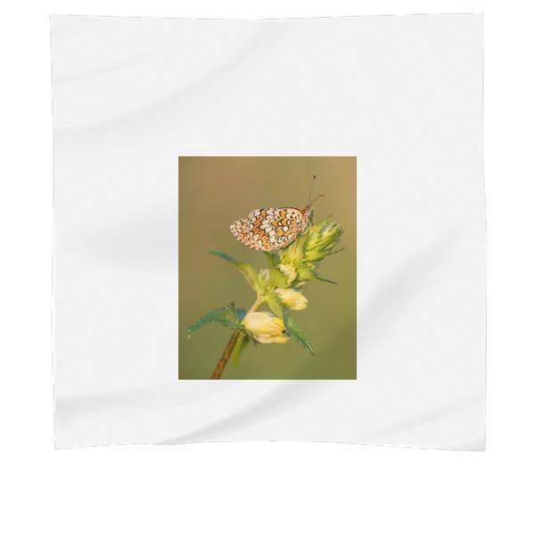 Brown And Black Butterfly On Green Plant During Daytime Scarf