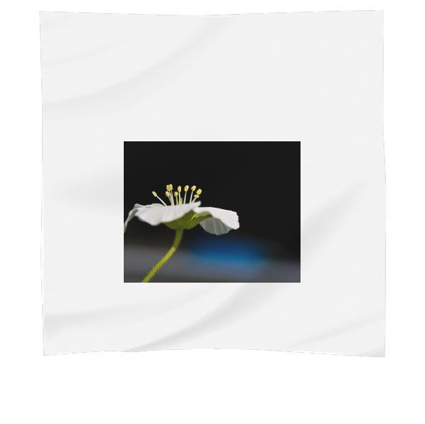 Nature Plant Flower Macro Scarf